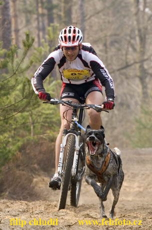 Polsko 2005 - 177.jpg